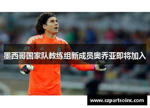 墨西哥国家队教练组新成员奥乔亚即将加入 墨西哥国家队教练组新成员奥乔亚即将加入