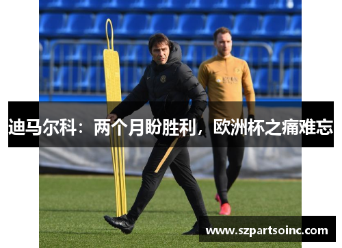 迪马尔科:两个月盼胜利,欧洲杯之痛难忘 迪马尔科:两个月盼胜利,欧洲杯之痛难忘